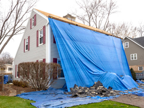 Best Carpet Removal and Disposal  in Madisonville, KY
